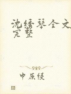 沈绣琴全文阅读完整