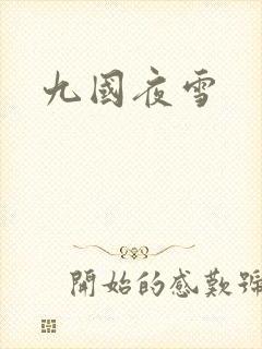 九国夜雪封面