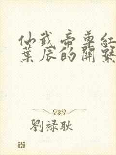 仙武帝尊红尘与叶辰的关系