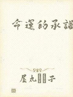 命运的承诺封面