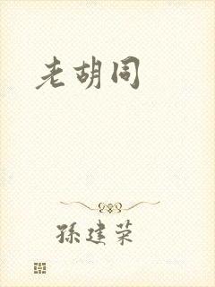 老胡同封面