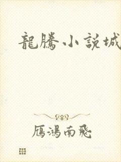 龙腾小说城封面