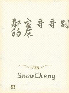 邻家哥哥别上我的床