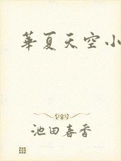 华夏天空小说网封面