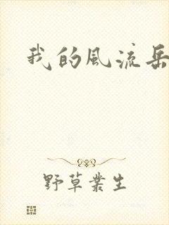 我的风流岳每封面