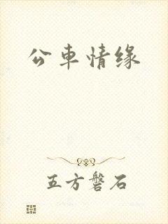 公车情缘封面