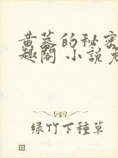 黄蓉的秘密 笔趣阁 小说免费阅读