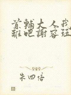 首辅大人我们和离吧谢容珏