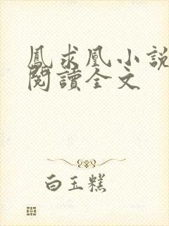 凤求凰小说免费阅读全文