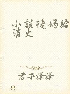 小说后妈给我消消火封面