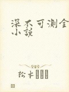 深不可测金银花小说封面