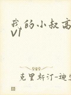 我的小叔高H1V1封面
