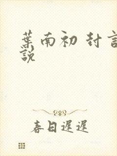 叶南初 封言小说