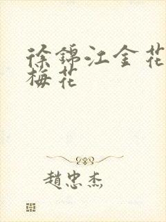 徐锦江金花瓶楷梅花封面