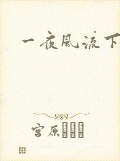 一夜风流下载封面