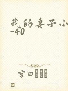 我的妻子小谨1-40
