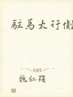 驻马太行侧封面