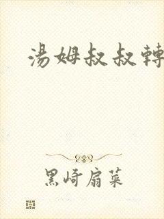 汤姆叔叔转接口