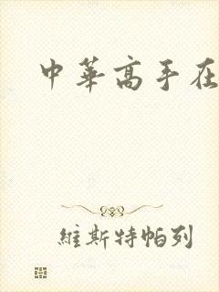 中华高手在异世
