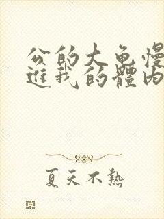 公的大龟慢慢挺进我的体内视频