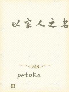 以家人之名小说