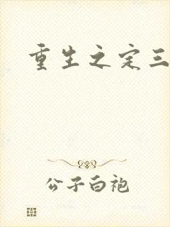 重生之定三国