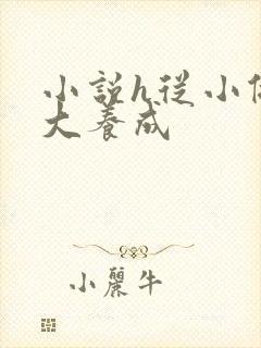 小说h从小做到大养成