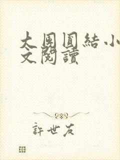 大团圆结小茹全文阅读