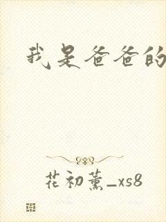 我是爸爸的玩具封面