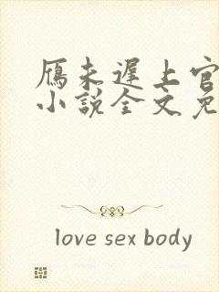 雁未迟上官穿越小说全文免费阅读