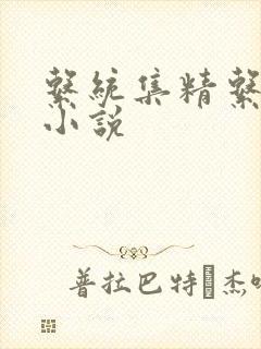 系统集精系统 小说