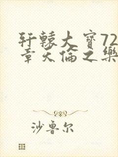 轩辕大宝720章天伦之乐封面