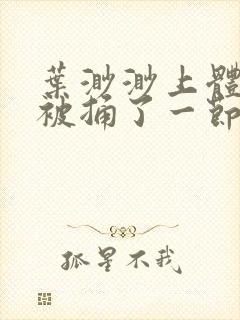 叶渺渺上体育课被捅了一节课封面