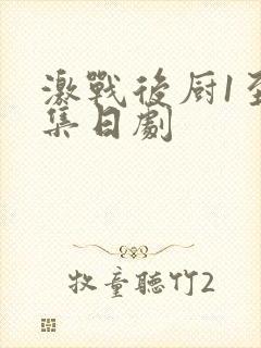 激战后厨1至5集日剧