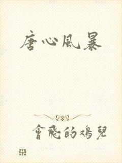 唐心风暴