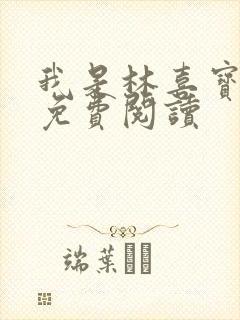 我是林喜宝小说免费阅读