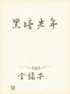 黑暗光年封面