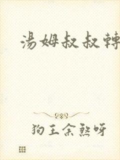 汤姆叔叔转接口