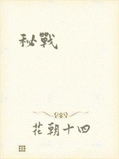 秘战