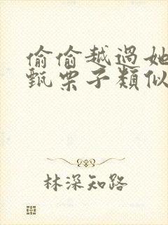 偷偷越过她by甄栗子类似小说封面