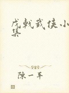 戊戟武侠小说全集封面