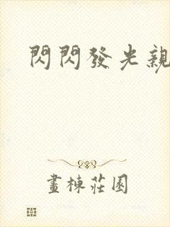 闪闪发光亲情会