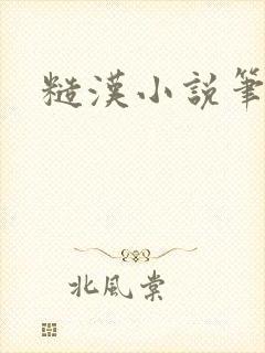 糙汉小说笔趣阁