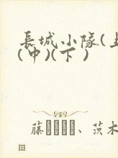 长城小队(上)(中)(下 )
