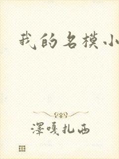 我的名模小娇妻
