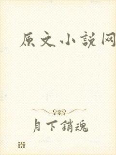 原文小说网