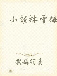 小说林雪梅