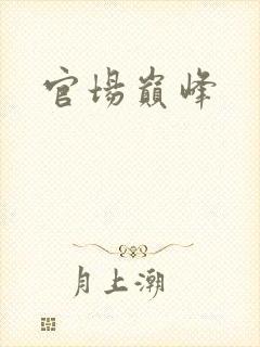 官场巅峰