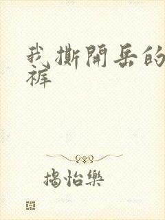 我撕开岳的丁字裤封面