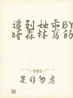 追到她乖BY黑暗森林写的小说